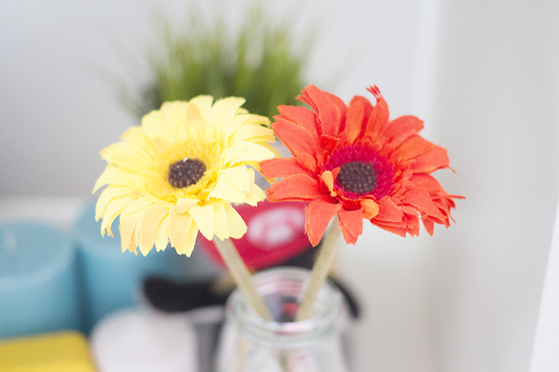 Reasons to Spring Clean